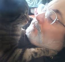 Mister Diggs is a big boy. Twenty-two pounds of tabby teddy bear who's  relentless when it comes to breakfast. There's no such thing as personal  space in his wake-up routine. My furry