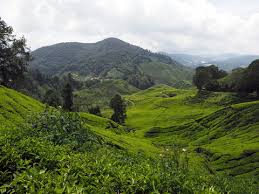 To the west, it shares part of its border with perak. 3 Best Tanah Tinggi Cameron Images Stock Photos Vectors Adobe Stock