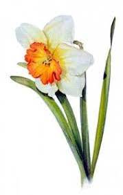 Daffodils Flower Paintings In Watercolor Watercolor And Oil Painting Roses Birds Still Lifes Figurative Pa Flower Painting Daffodils Floral Watercolor