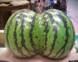 Image result for japan watermelon