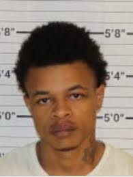 Driver charged in Whitehaven crash that injured child, passenger