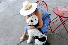 Dog Day Downtown