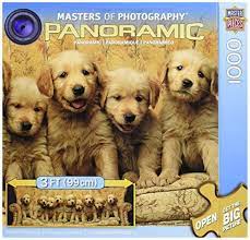Nala the golden retriever in grass in small puzzle. Masterpieces Puzzle Company Picture Perfect Panoramic Jigsaw Puzzle 1000 Piece Buy Online In Guam Masterpieces Products In Guam See Prices Reviews And Free Delivery Over Us 70 00 Desertcart