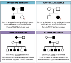 Pin By Andres Sanchez On Genetics Biology Lessons Science Biology Pedigree Chart