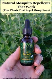 Natural Mosquito Repellents That Work Plants That Repel Mosquitoes