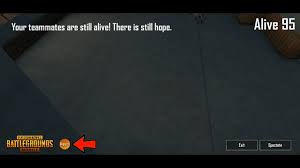Please report any suspected hacking or exploiting activity directly to bluehole using this link. Pubg Report Player Team Killing How To Help Pubg Mobile Clean The Gaming Environment