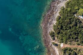 BNCFF Blue Prints Series - Blue Natural Capital