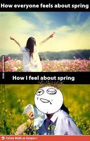 Hayfever Ruins Spring Allergies Funny Spring Allergies Funny Best Funny Pictures