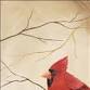 Woodland Cardinal event image