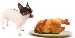 I cani di taglia piccola sono molto vispi, corrono da una parte all'altra e spesso combinano danni in casa. Alimentazione Per I Cani Di Piccola Taglia