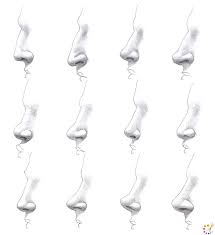 Have fun learning with drawing lessons for young and old. How To Draw A Nose Step By Step For Kids Beginners