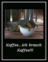 Moin Moin Alle Schon Fit Schlaue Spruche Spruche Lustig