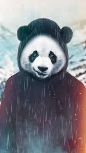These free panda wallpapers can be saved so that you can set for a background or even lock screen on your mobile iphone device. The Panda Iphone 11 Wallpaper Cool Backgrounds