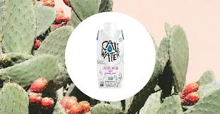 Buy saguaro cactus seeds from a seed distributor. Benefits Of Cactus Water