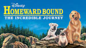 The incredible journey the names and breeds of the main characters were changed between movies. Watch Homeward Bound The Incredible Journey Full Movie Disney