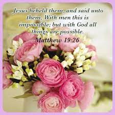 All was cedar, there was no stone seen. Pin On Bible Quotes