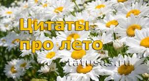 Красивая картинка на рабочий стол. Krasivye Citaty Frazy I Aforizmy Pro Leto