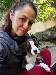 What are our bets today?! Will Calvin get out of bed? Yes or no? Comment  below ⬇️ #boxerdog #boxer #boxerlife #boxermom #boxersarethebest  #boxersofinsta #boxers #dog #doglover #dogsofinstagram #instaboxer #dogs  #dogstagram #dogslife