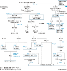 国立がん研究センター東病院で実施している治験をご紹介しています。 「対象疾患」に記載のあるがんの名称をクリックすると、対象となる治験の一覧をご覧いただけます。 腎細胞がん 尿路がん 膀胱がん. è†€èƒ±ç™Œè¨ºç™‚ã‚¬ã‚¤ãƒ‰ãƒ©ã‚¤ãƒ³2019å¹´ç‰ˆ ã‚¬ã‚¤ãƒ‰ãƒ©ã‚¤ãƒ³ ã‚³ã‚³ã ã'ãŠã•ãˆã‚‹ WebåŒ»äº‹æ–°å ± æ—¥æœ¬åŒ»äº‹æ–°å ±ç¤¾