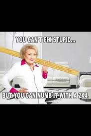 You Cant Fix Stupid Quotes Quotesgram