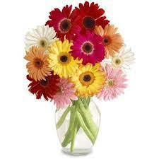 Here S A Vision Of Pleasure Http Www Indiacakes Com Flower Delivery Online Flower Delivery Flowers Online
