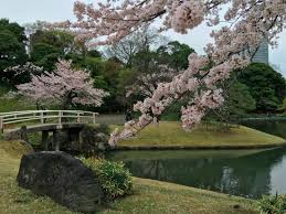 koishikawa korakuen garden picture of