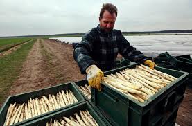 Lista articolelor din categoria strainatate. Oferta De Joburi Bine PlÄtite Locuri De MuncÄ In StrÄinÄtate Spania Si Germania Primele OpÅ£iuni Ziarul Profit