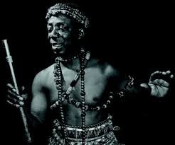 Image result for Didymodoxa  afra