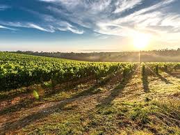 Komfortní ubytování s klimatizací na jižní moravě se stravováním a letním bazénem. Ceska Republika Jizni Morava Cestovni Kancelar Atis A S