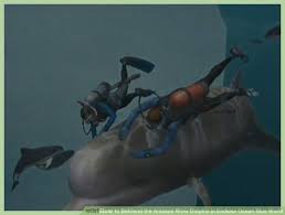 Penguin world king penguin eagles macaroni penguin south georgia island 2016 pictures beautiful beach decor set of 3 abstract ocean prints in teal blues. The Diver Dives In Explore The Blue Through The Wii S Hidden Jems Endless Ocean Franchise Rep Smashboards