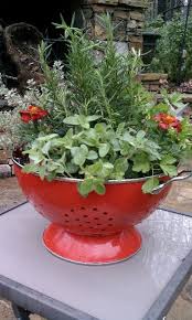 Containers Pottery Pots Planters Colander Container Garden Container Plants Plants Container Gardening