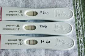 How soon after iui can you feel pregnancy symptoms? Late Period After Iui Negative Pregnancy Test When Can I Take A Pregnancy Test After Iui