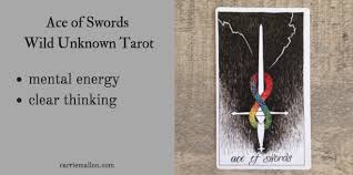 Ace of swords minor arcana tarot card meaning & reversed card meaning in the context of love, relationships, money, career, health & spirituality all free! Ace Of Swords Wild Unknown Tarot Card Meanings Carrie Mallon