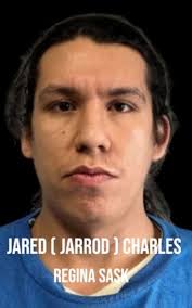 In Australia the Federal or State Government/s DO NOT provide the Public  with access to sex offender registries, nor are the Public notified if a  convicted sex offender is moving into/ residing