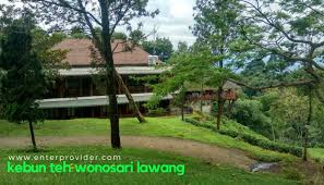 Vlog ini dibuat di kebun teh wonosari, yang terletak di desa wonosari, kec. Kebun Teh Wonosari Lawang Tempat Outbound Berkapasitas Besar