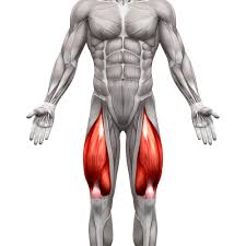 Maybe you would like to learn more about one of these? Common Thigh Injuries My Family Physio