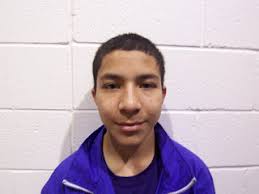 The Takedown Newsletter: December 2008