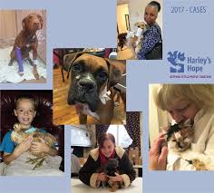 Learn all about the cats and dogs available for adoption from hope pet rescue. Harley S Hope Foundation Home Facebook