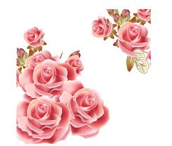 Pink Flowers Rose Clip Art Vintage Pink Rose Border Png Flower Clipart Pink Roses Background White Roses Background