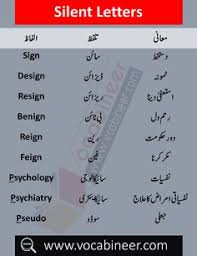 Silent Letters With Urdu Meanings Basic English Grammar In Urdu English Vocabulary Words Learn English Words English Learning Books