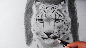 Maybe you would like to learn more about one of these? How To Draw A Snow Leopard Speed Drawing Zeichnen Youtube