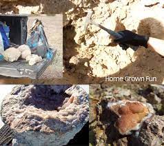 Nw to area about 1. What Is A Geode And How Do You Hunt For Geodes Home Grown Fun