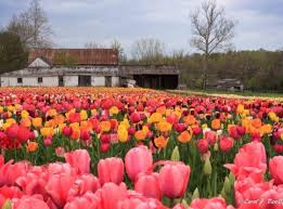 Based on what factor does the fullness meter return to normal. Burnside Farms