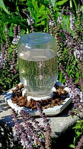 Pin Auf Krauterdinge Gartenideen