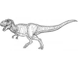 Choose from a wide range of similar scenes. Top 20 Printable T Rex Coloring Pages Online Coloring Pages