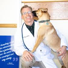 Veterinarian in san diego, california. Pacific Pet Hospital 94 Photos 69 Reviews Veterinarians 1466 Melrose Ave Chula Vista Ca Phone Number