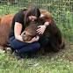 Highland cow snuggle session with dinner(not beef lol) event image