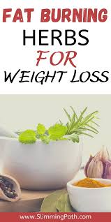 Pin On Healthy Eating For Weight Loss