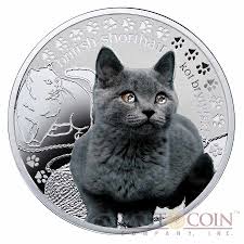 Cats are displayed by show season, with the most recent season at the top. Niue British Shorthair Cat Silver Coin Man S Best Friends Cats Series 1 Colored 2014 Proof With Swarovski