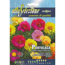 Piantine da orto in vendita online: Alta Selezione Portulaca Multicolor Premium Quality Seeds Made In Italy By Franchi Sementi One Stop Shop For Your Gardening Needs